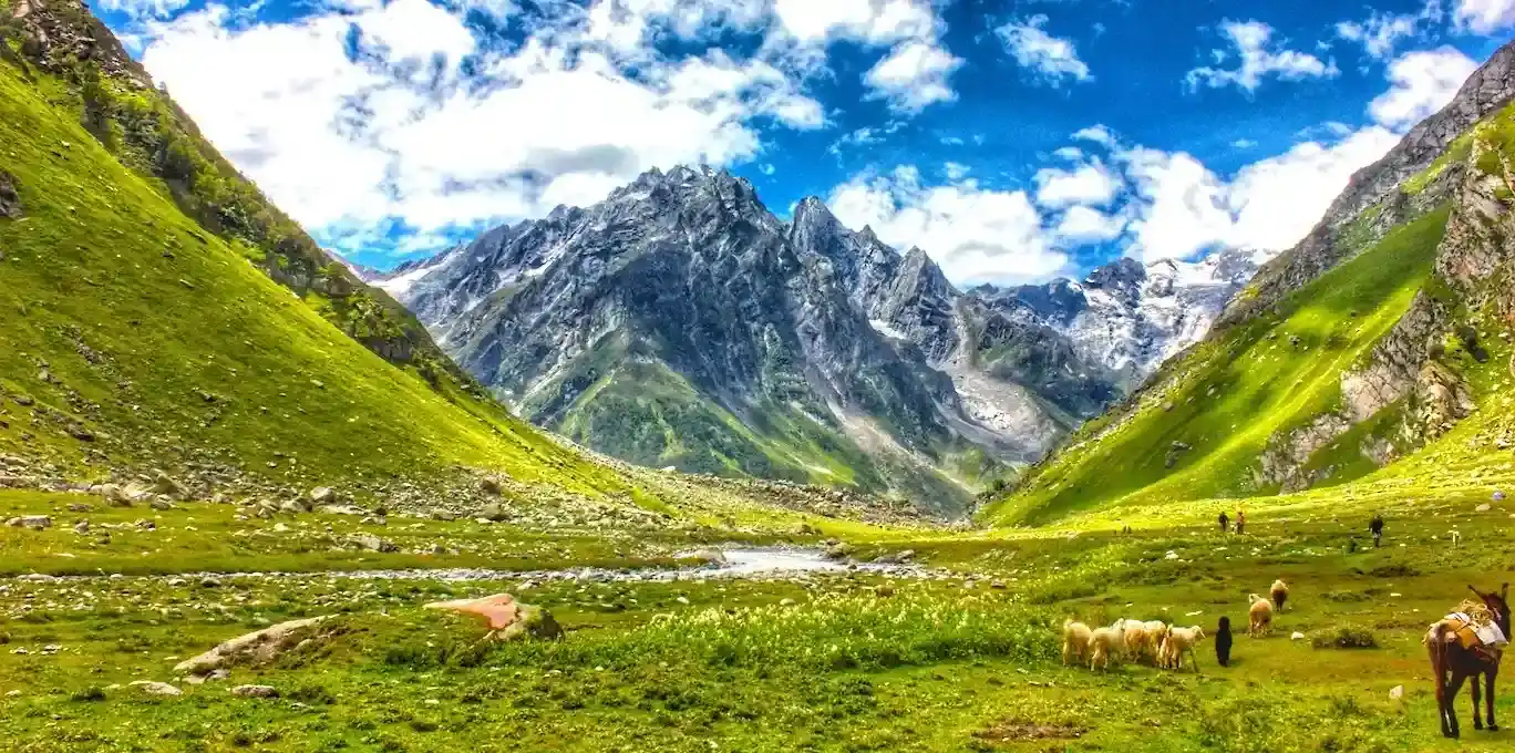 Family Spiti with Pin Valley